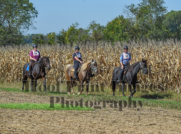 CheshirePonyClubPC(10-6-24)0231