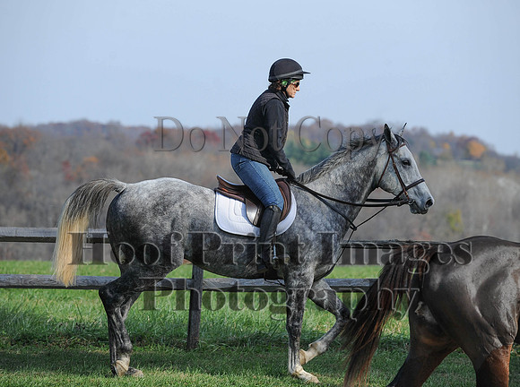 AndrewsBr(11-9-14)0288