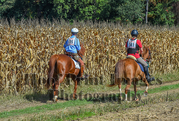 CheshirePonyClubPC(10-6-24)0645
