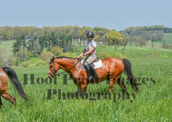 CheshireSpringPC1(4-28-24)0312