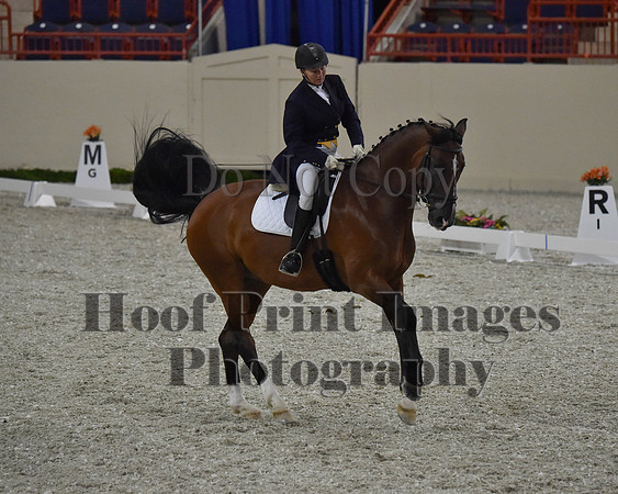 CWdressageII(8-21-16)0763