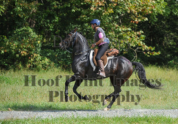 ChesapeakeCTR(9-20-14)0581