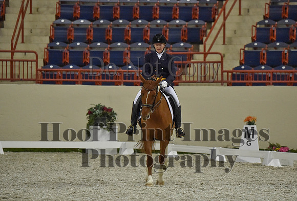 CWdressageI(8-20-16)1336
