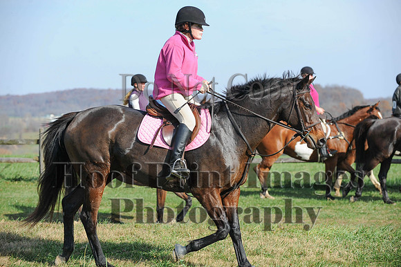 AndrewsBr(11-9-14)0189