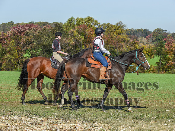 CheshirePC(10-18-20)0380