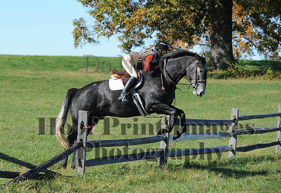 Cheshire(10-19-14)0311