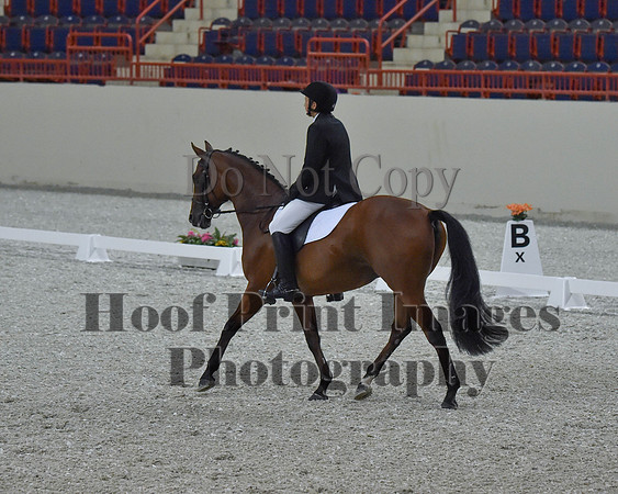 CWdressageII(8-21-16)1025