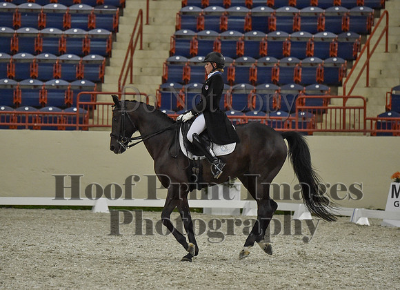 CWdressageI(8-20-16)1475