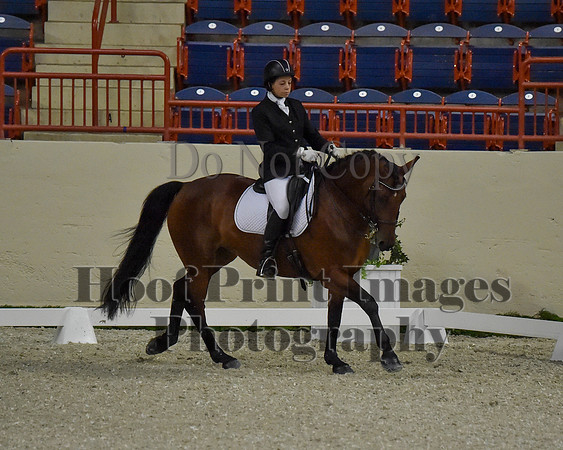 CWdressageII(8-21-16)1622