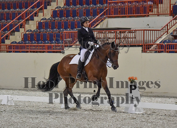 CWdressageI(8-20-16)0839