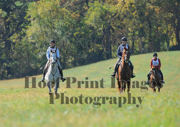 Cheshire(10-20-13)0280