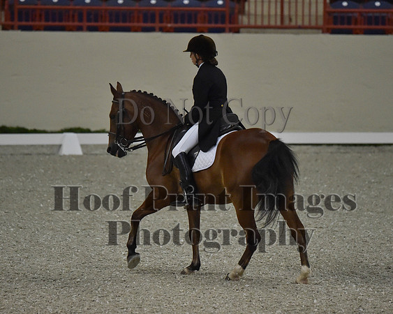 CWdressageII(8-21-16)0869
