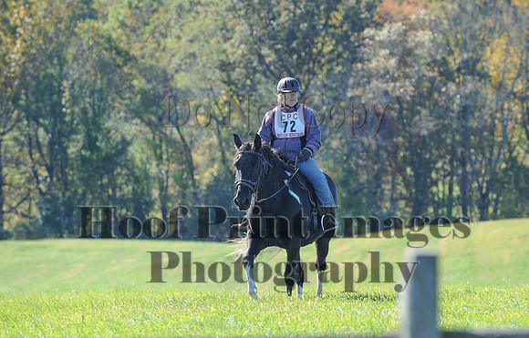 Cheshire(10-19-14)0269