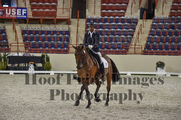 CWdressageI(8-20-16)1377