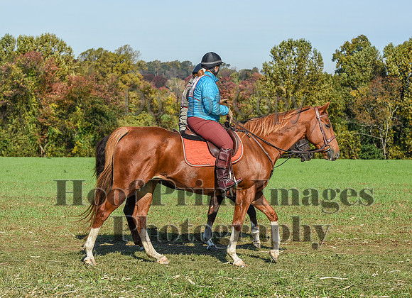 CheshirePC(10-18-20)0208