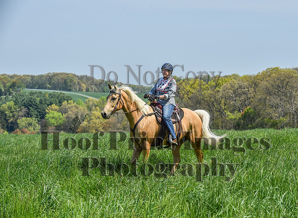 CheshireSpringPC1(4-28-24)0204