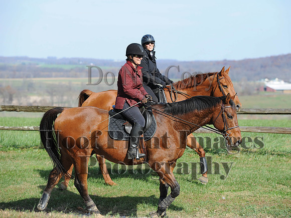 AndrewsBr(11-9-14)0243