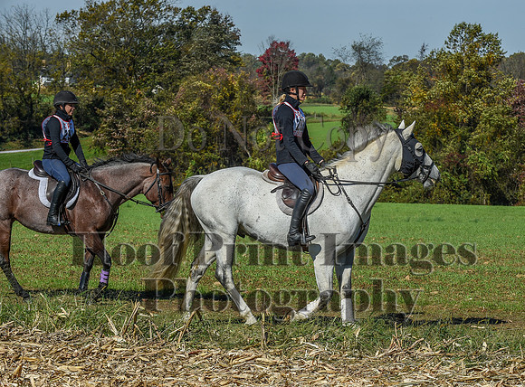 CheshirePC(10-18-20)0592