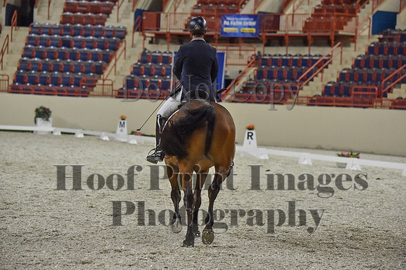 CWdressageI(8-20-16)1353