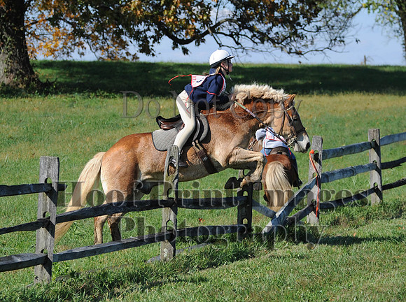 Cheshire(10-20-13)0498