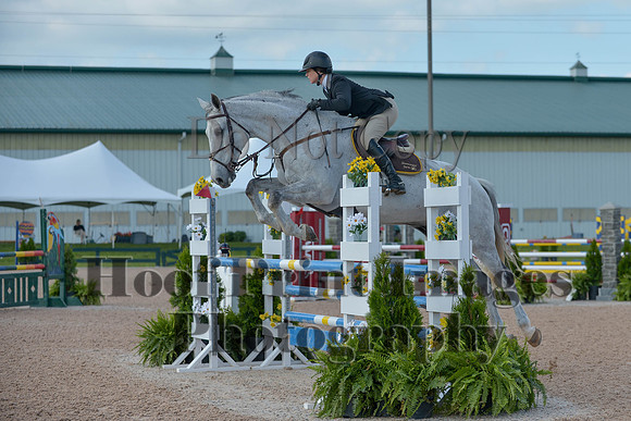 BRSa(5-17-14)HChAdJ0041