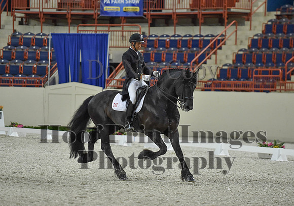 CWdressageI(8-20-16)1661
