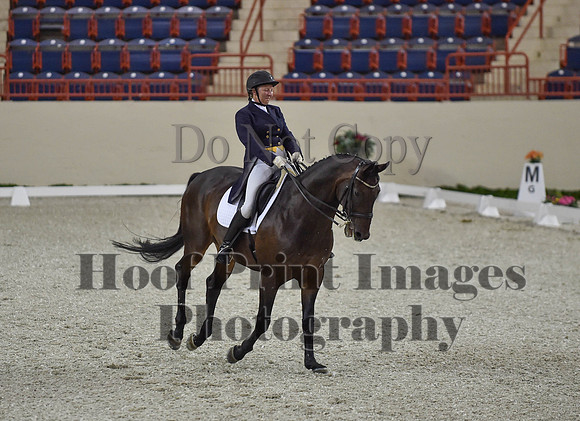 CWdressageI(8-20-16)1615