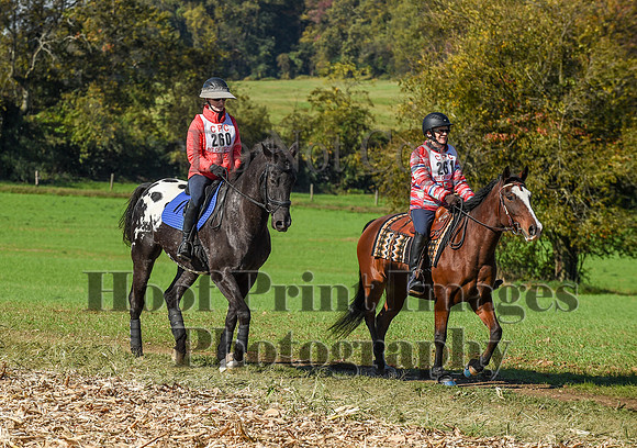 CheshirePC(10-18-20)0341