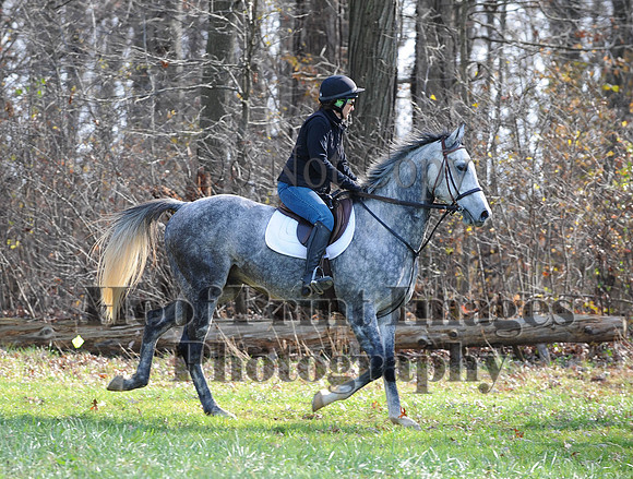 AndrewsBr(11-9-14)0292