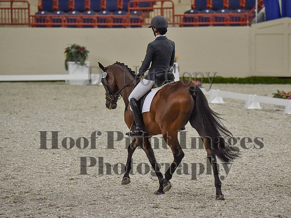 CWdressageI(8-20-16)0344