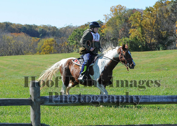 Cheshire(10-19-14)0224