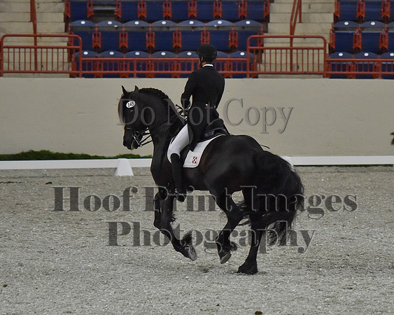 CWdressageII(8-21-16)0573