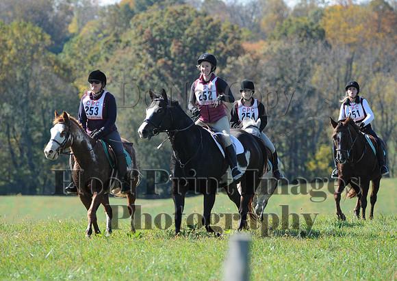 Cheshire(10-20-13)0053