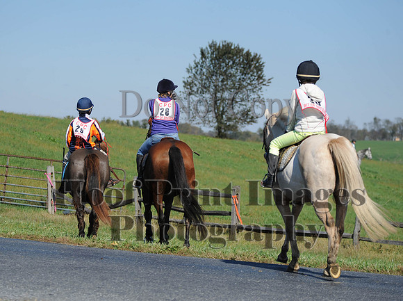 Cheshire(10-20-13)0193