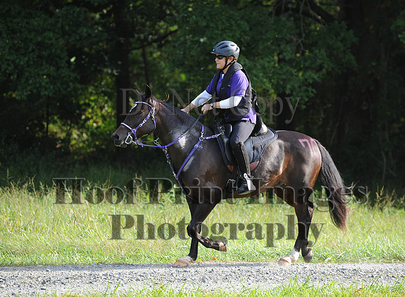 ChesapeakeCTR(9-20-14)0206