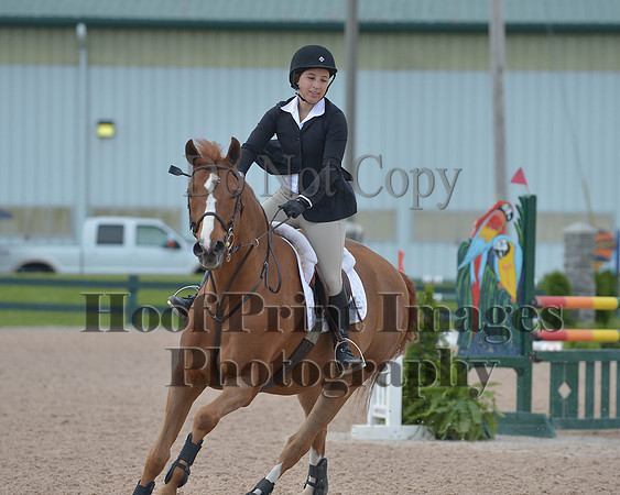 BRSa(5-17-14)HChAdJ0141