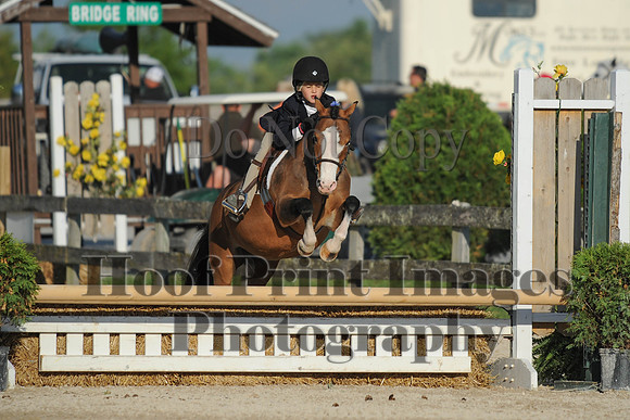 BRSa(5-17-14)SMChP0062