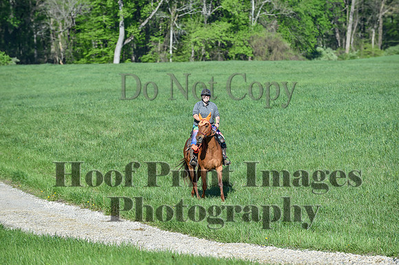 ChesapeakeSpring(4-27-25)0344