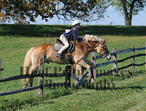 Cheshire(10-20-13)0499