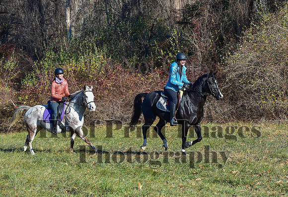 FairHillFallPC(11-30-24)0244