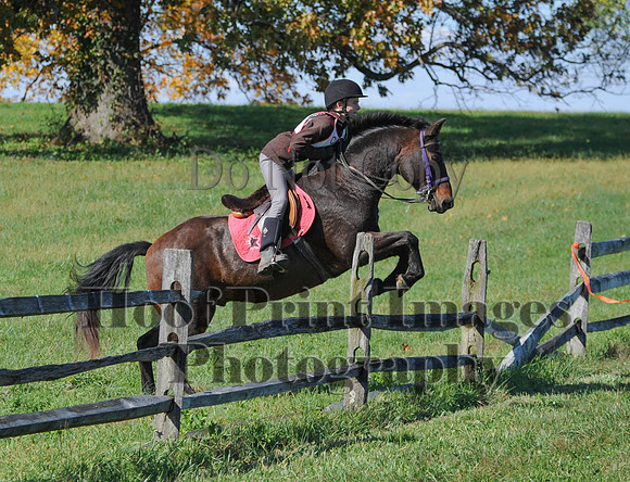 Cheshire(10-20-13)0494