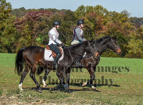 CheshirePC(10-18-20)0416