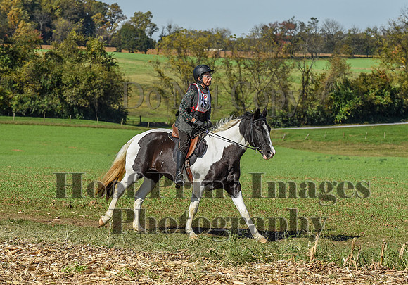 CheshirePC(10-18-20)0558