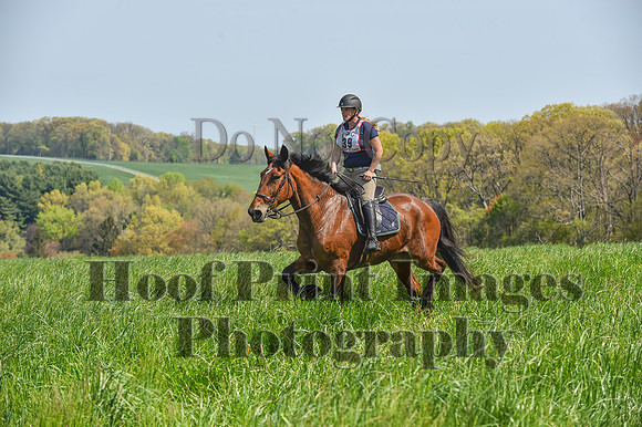 CheshireSpringPC1(4-28-24)0130