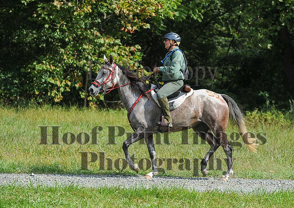 ChesapeakeCTR(9-20-14)0558