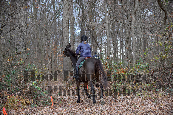 AndrewsBrHuntPace(11-10-24)0154