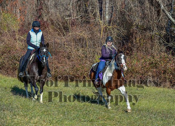 FairHillFallPC(11-30-24)0443