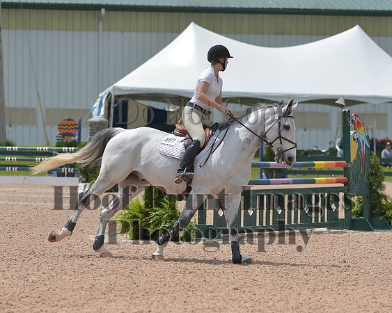 BRSa(5-17-14)HChAdJ0231