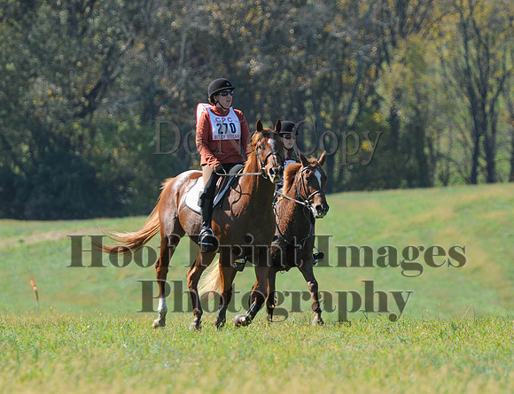 Cheshire(10-20-13)0288