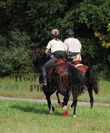 ChesapeakeCTR(9-20-14)0177